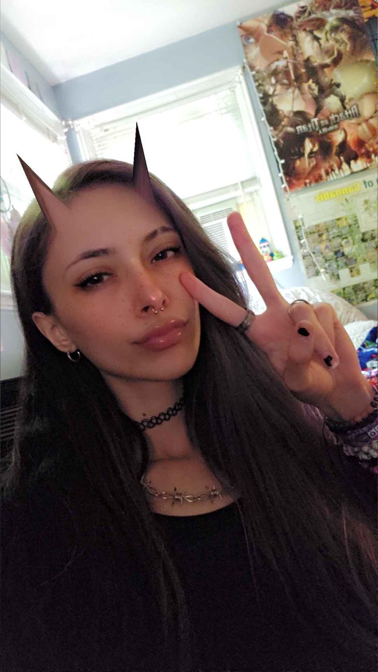apexchampion