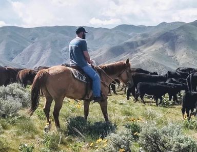 Best Hairy OnlyFans Accounts in January 2026 | Fansearch