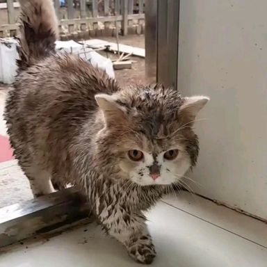 Best OnlyFans Accounts in Vietnam 🇻🇳 in January 2026 | Fansearch