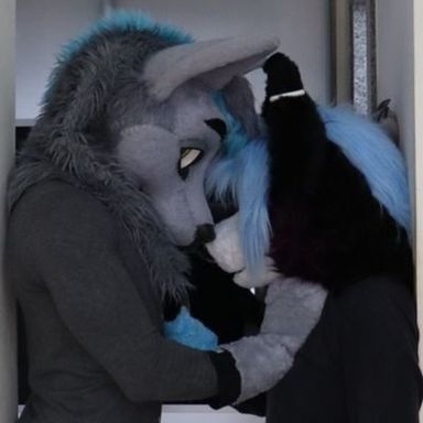 Best Furry OnlyFans Accounts in March 2026 | Fansearch