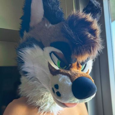 palacewolf OnlyFans - Free Trial Profile, Earnings, Stats, Socials